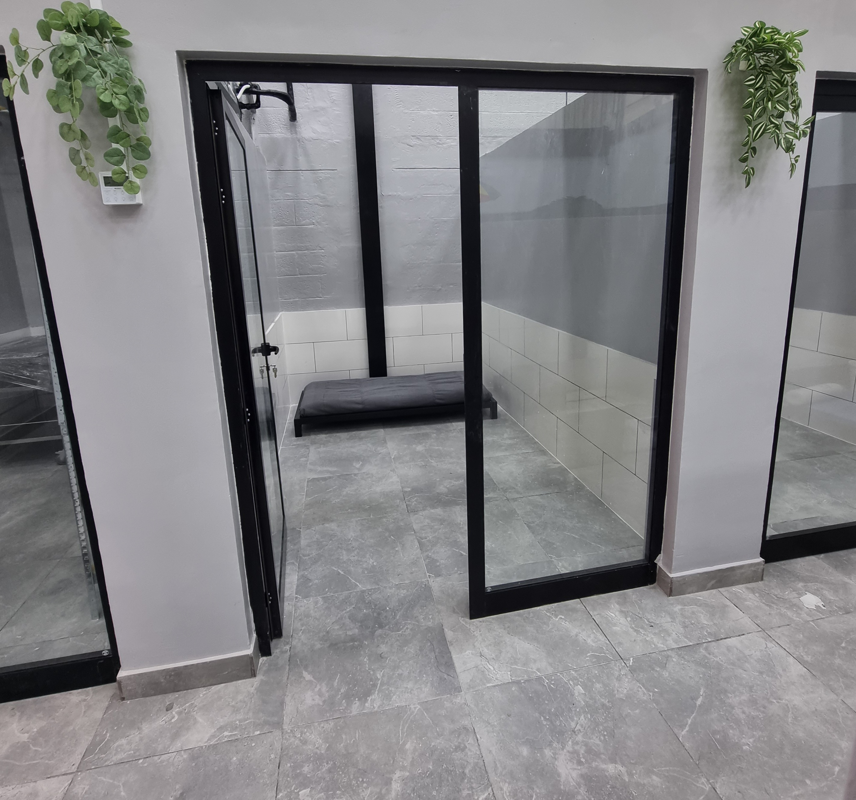 My Buddy Pet Care Best pet care in Dubai